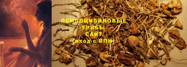трава Армянск