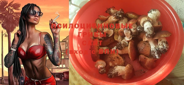 спиды Аркадак