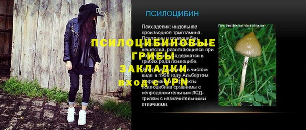 спиды Нея